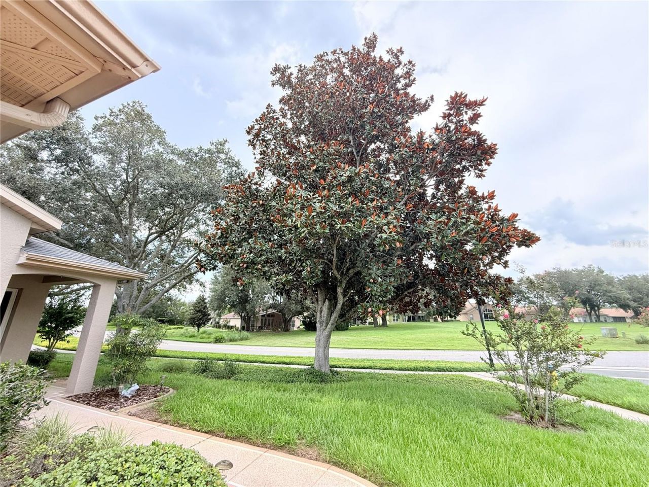 265 Center Oak Circle , Spring Hill, FL 34609 Photo