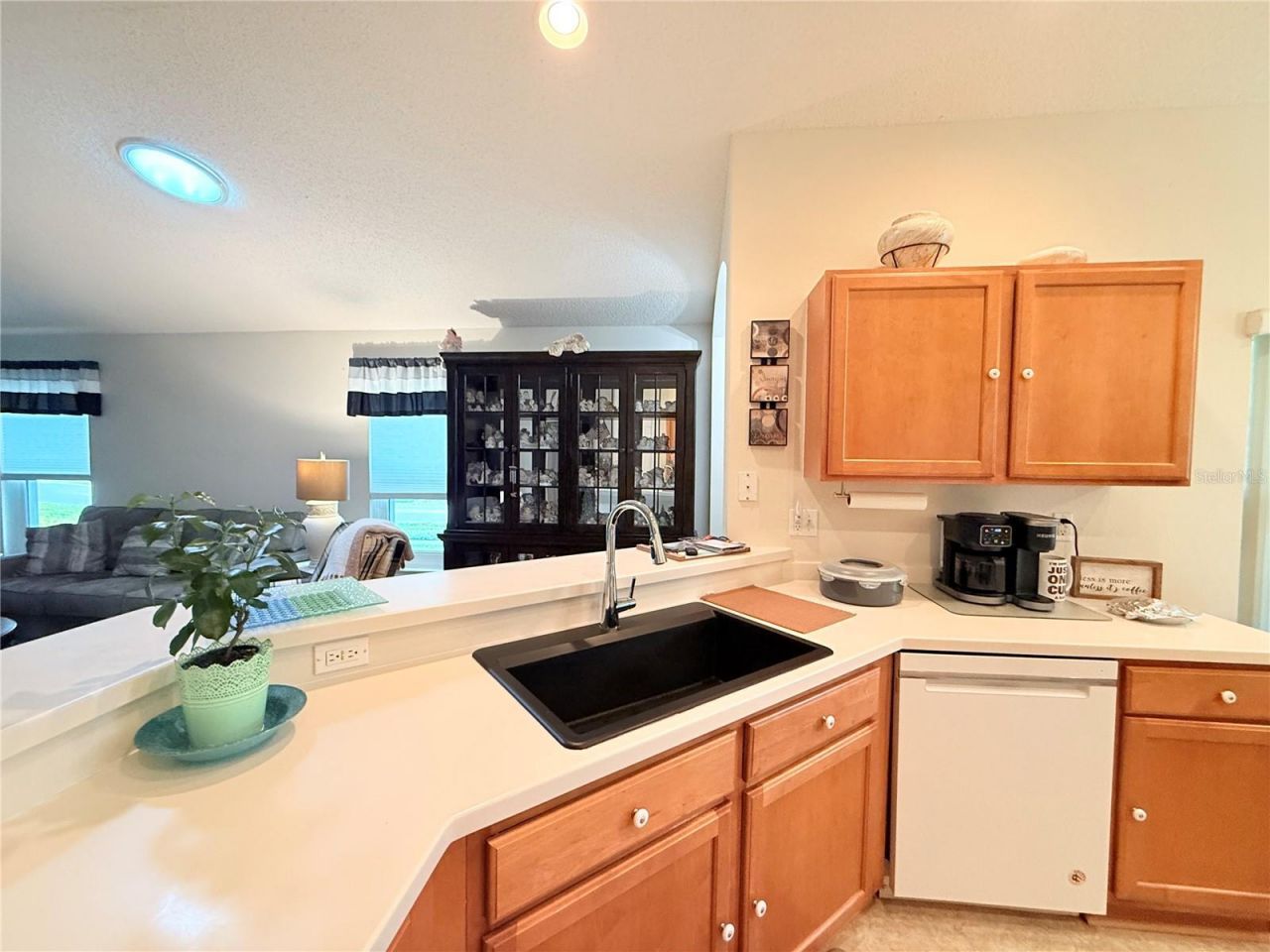 265 Center Oak Circle , Spring Hill, FL 34609 Photo
