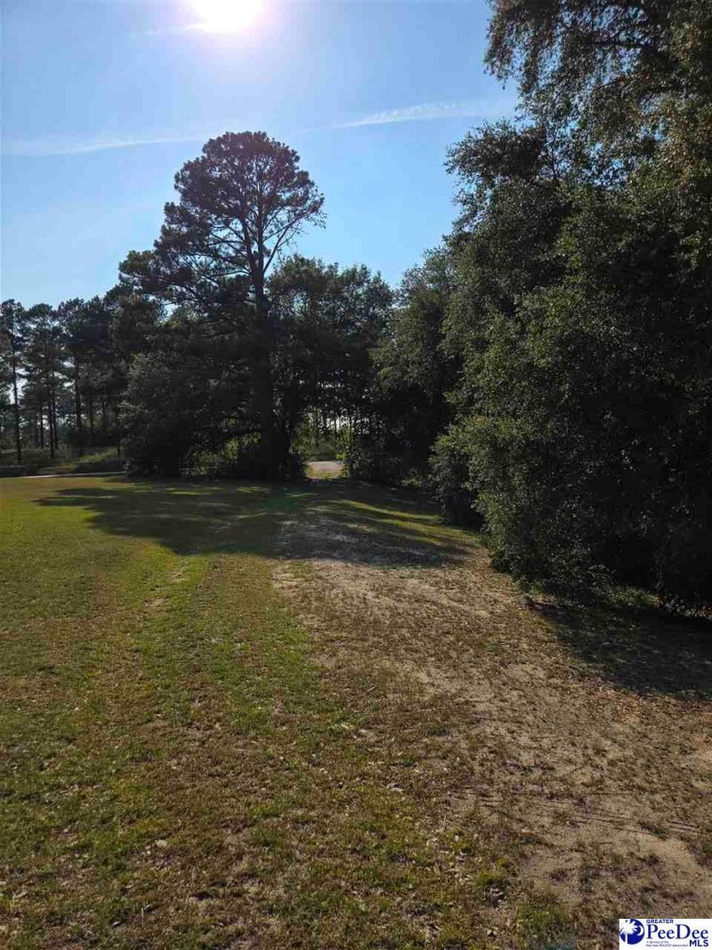 748 Hwy 145 North Photo 5