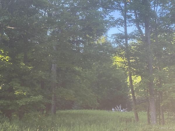 TBD M69 Highway, Sagola Twp, MI 49881