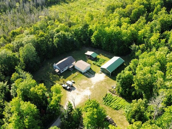 W17308 Harrington Road, Newton Twp, MI 49838
