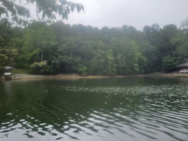 Lot 4 Longview Estates DR , Goodview, VA 24095
