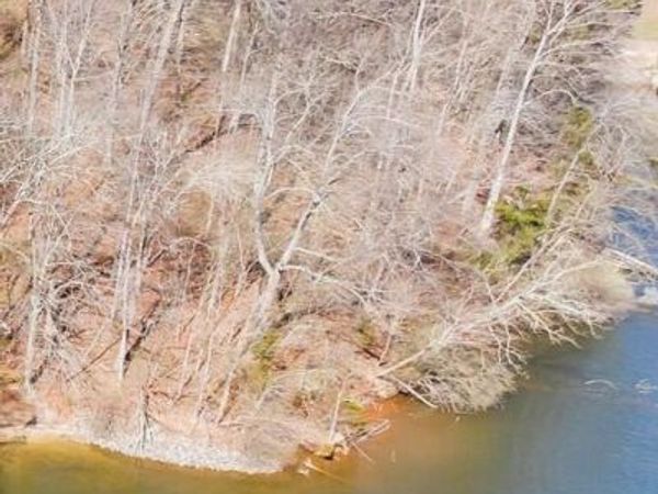 Lot 5 Longview Estates DR , Goodview, VA 24095