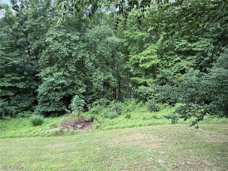 2699 Ruswil Drive, Millersburg, OH 44654 Photo 28