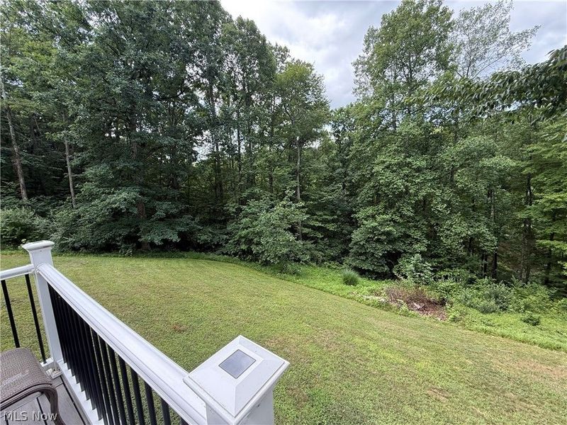 2699 Ruswil Drive, Millersburg, OH 44654 Photo 30