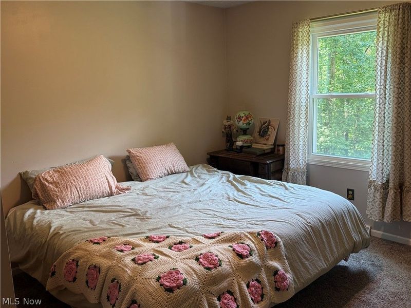 2699 Ruswil Drive, Millersburg, OH 44654 Photo 40