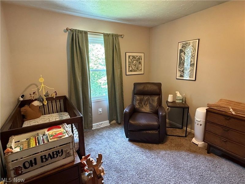 2699 Ruswil Drive, Millersburg, OH 44654 Photo 41