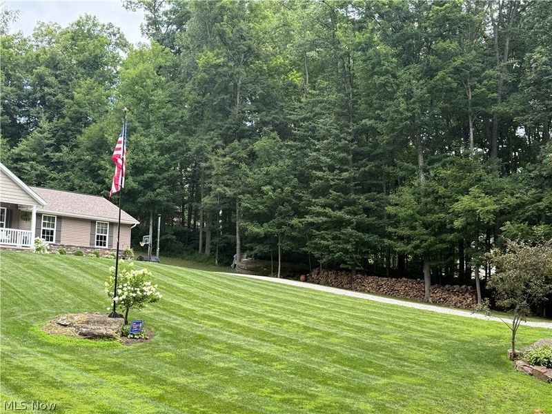 7595 Arbon Drive, Millersburg, OH 44654 Photo 8