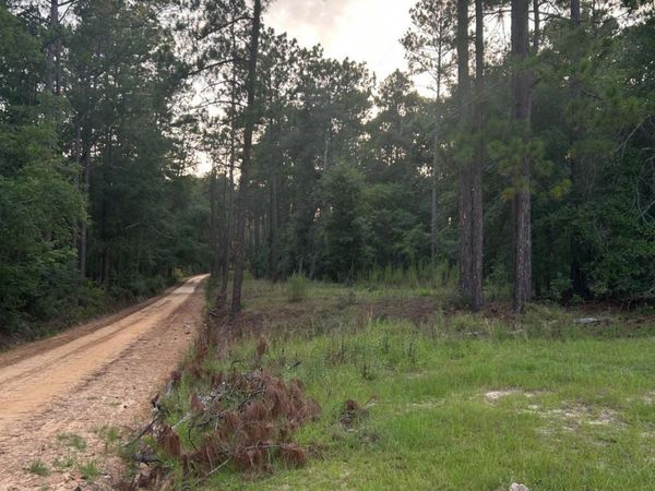 0 Edenfield Road, Twin City, GA 30471