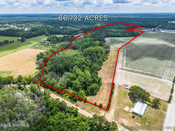0 Nesbitt Road , Odum, GA 31555