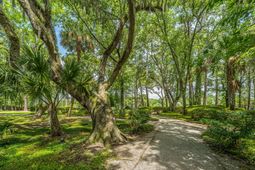 1693 Sewee Fort Road photo 4