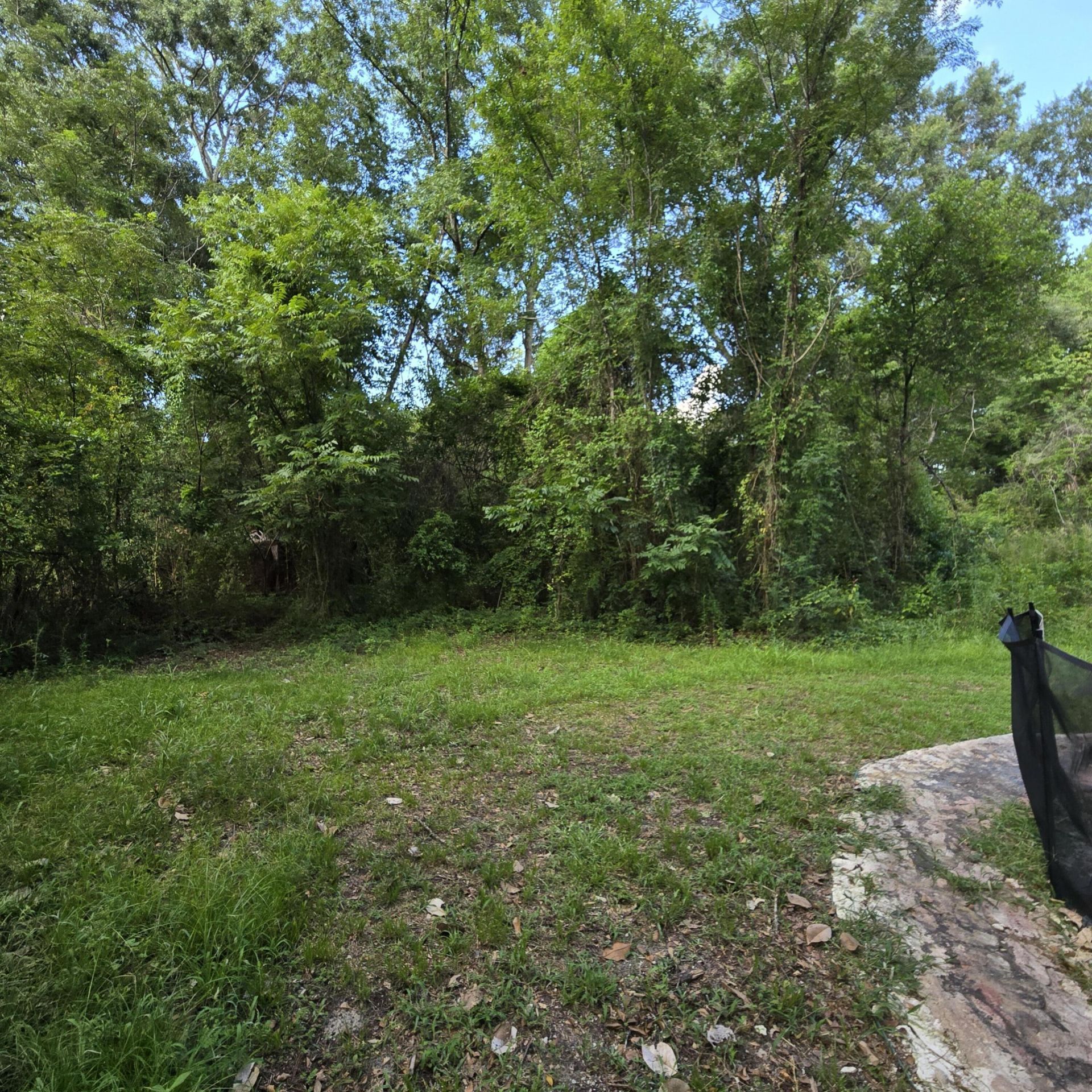 117 Roache Court Photo 4