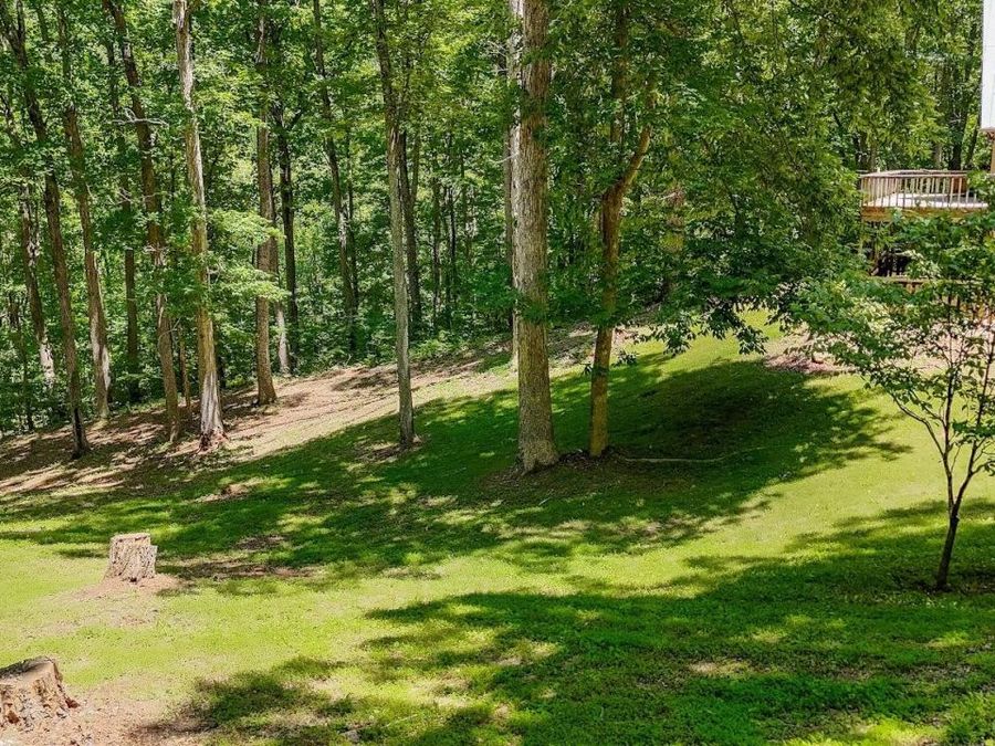 Property Image 33