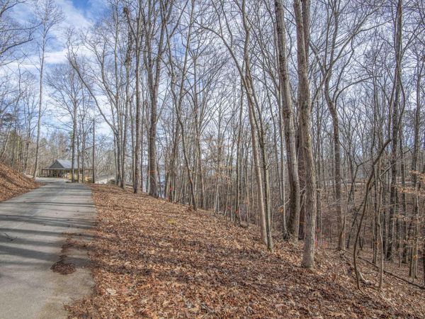 0 Sunset Court, Spring City, TN 37381