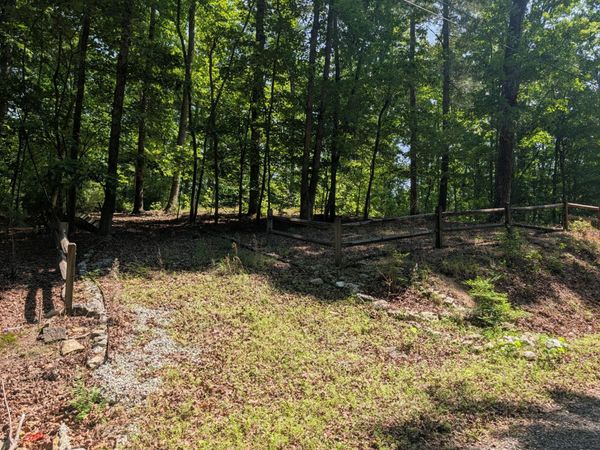 190 Fawnwood Drive, Spring City, TN 37381