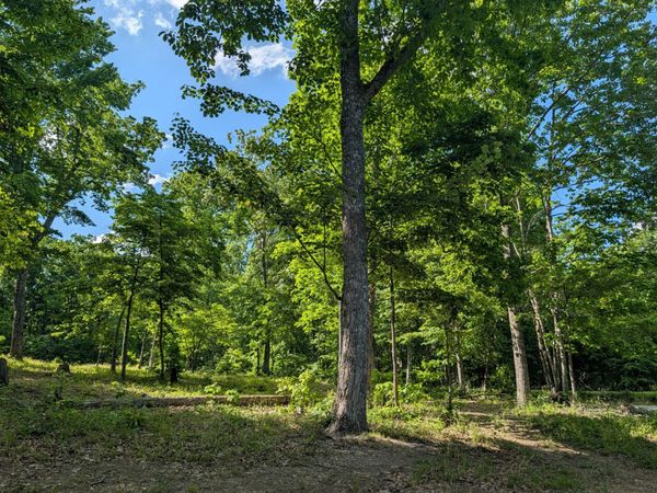 9495 Red Oak Lane, Unit 94/95, Spring City, TN 37381