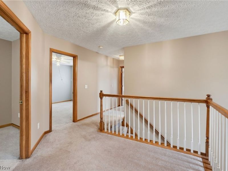 301 Aynesly Way, Brunswick, OH 44212 Photo 24