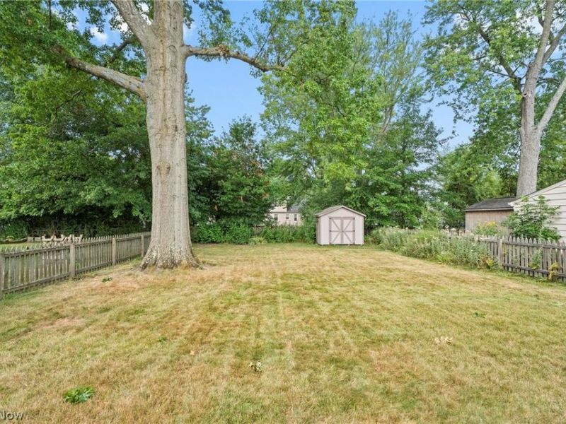 1272 Gordon Road, Lyndhurst, OH 44124 Photo 6