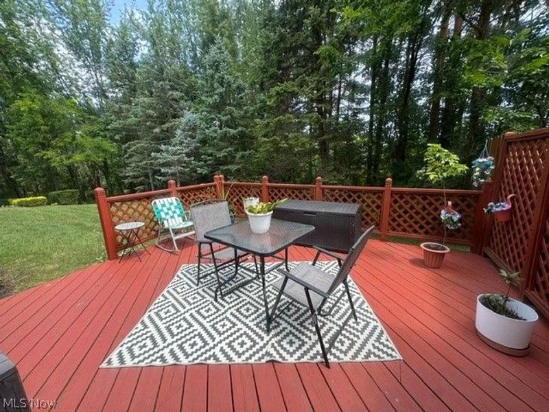 1747 Stone Creek, Twinsburg, OH 44087 Photo 37