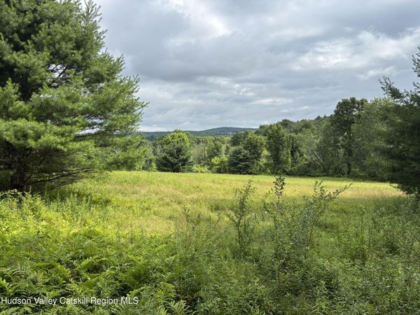 0 Punsit Road, Austerlitz, NY 12017