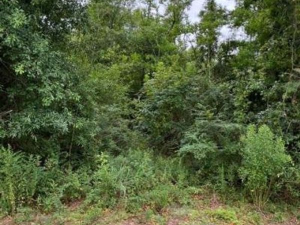 44064 HIGHWAY 445 Highway , Robert, LA 70455