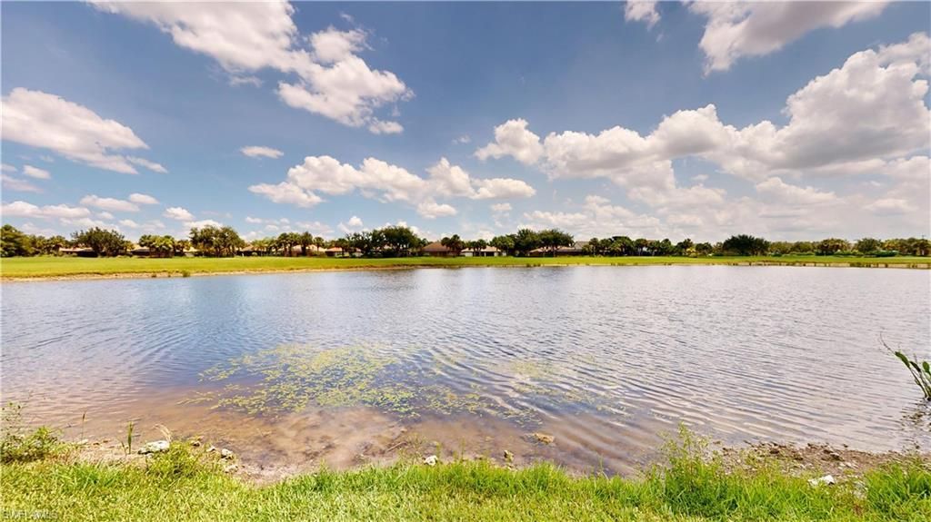 6321 Liberty St, Ave Maria, FL 34142 Photo