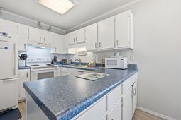 4800 N Ocean Blvd.  photo 4