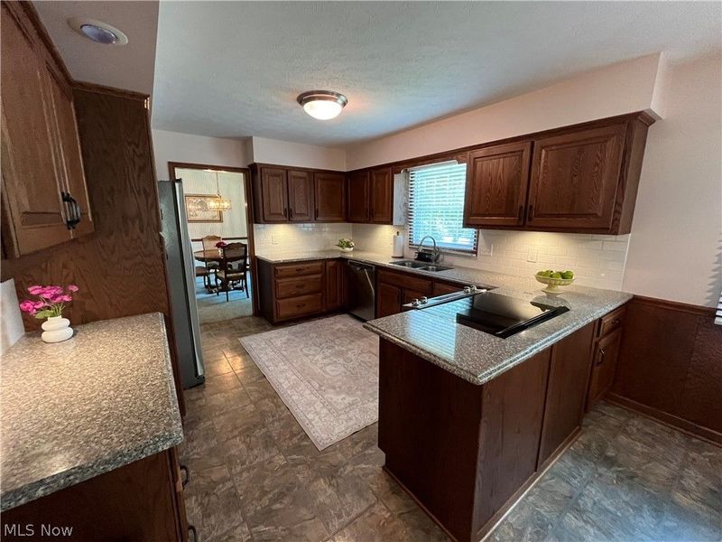 299 Pheasant Run, Wadsworth, OH 44281 Photo 4