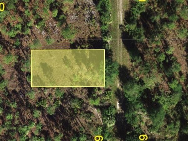 13347 Cappy TER, PUNTA GORDA, FL 33955