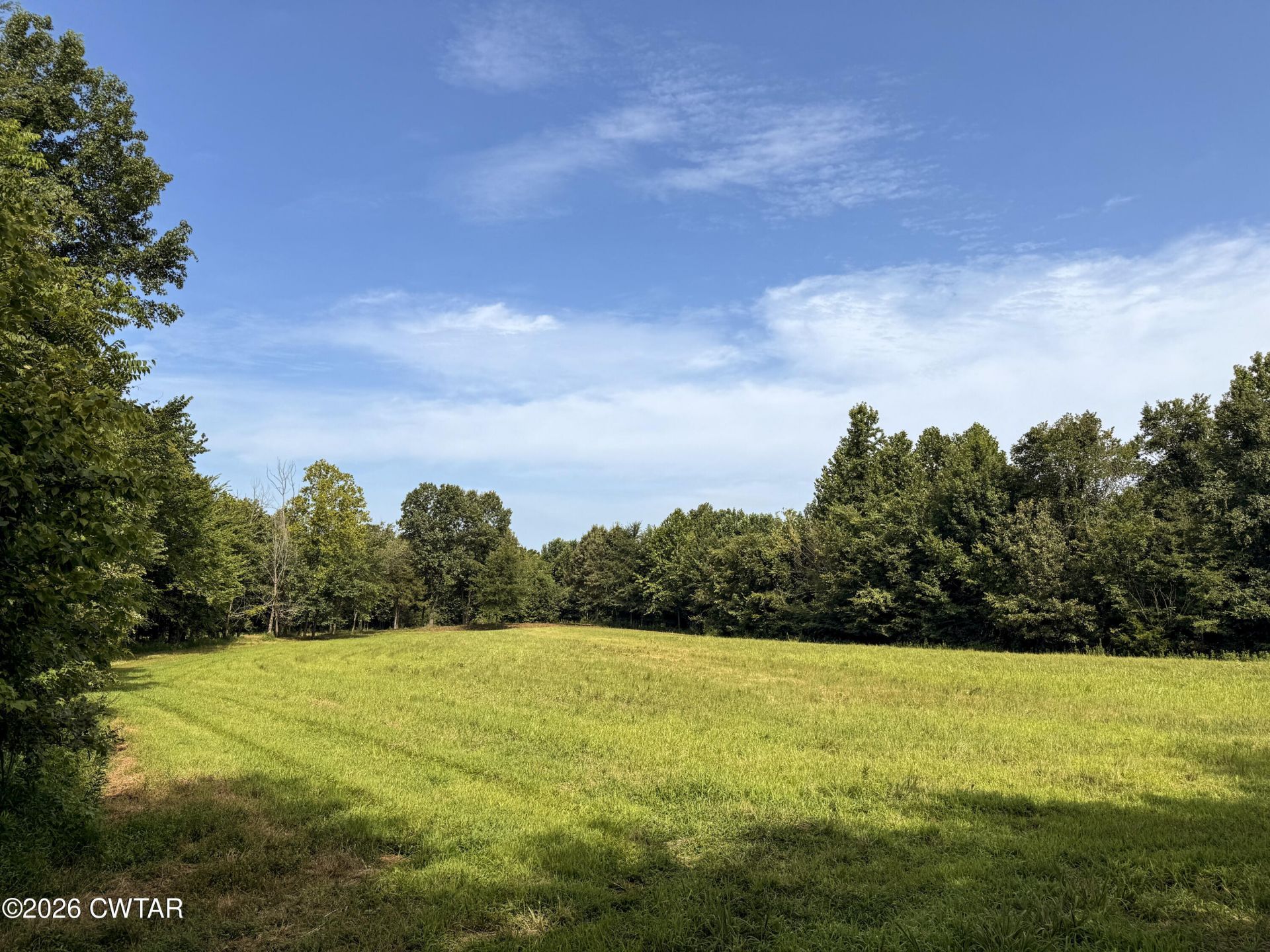 00 Poplar Springs Road, Atwood, TN 38220 Main Photo