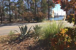 514 Shadowood Drive  photo 4