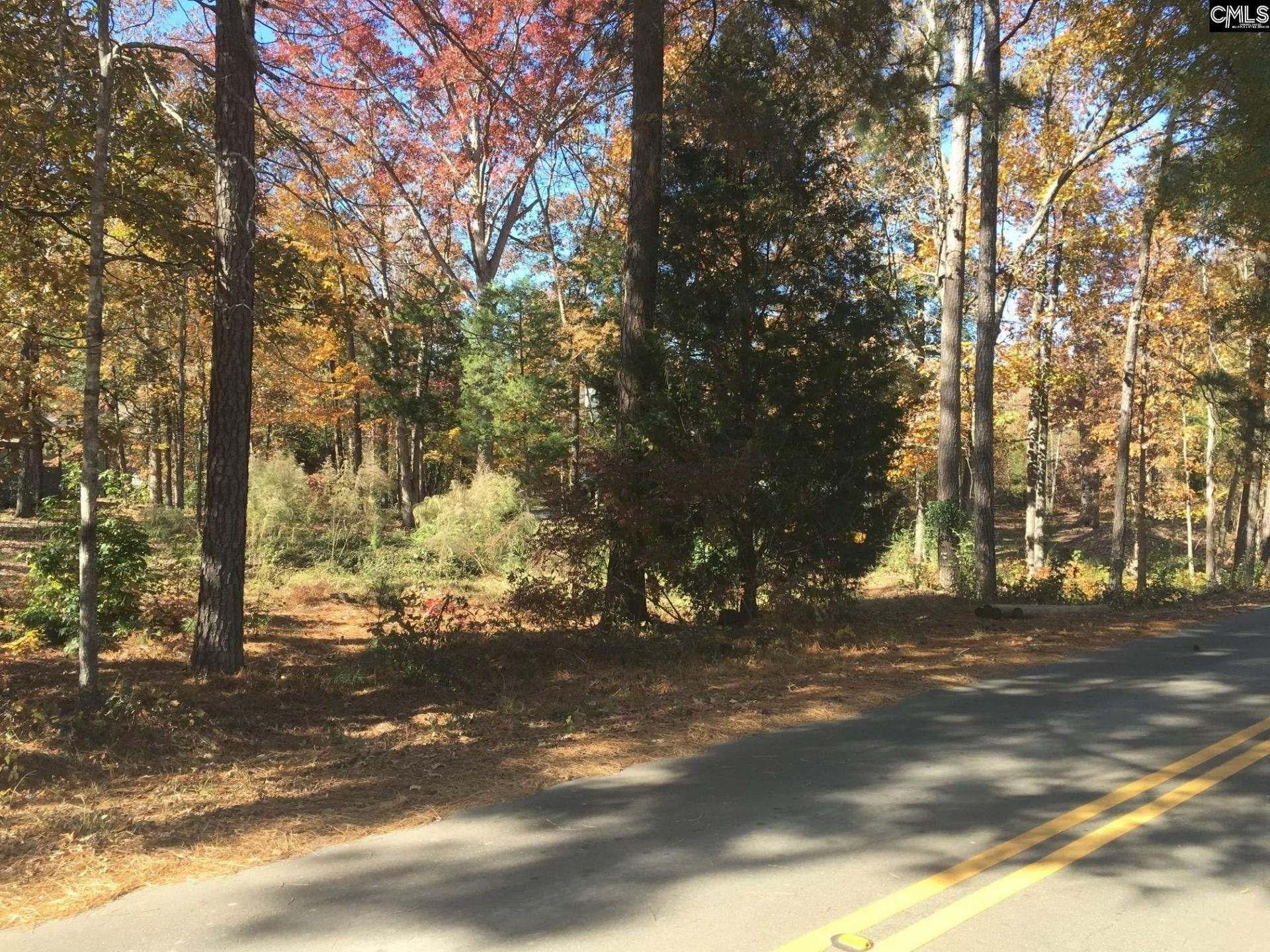 514 Shadowood Drive  Photo 5