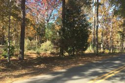 514 Shadowood Drive  photo 4