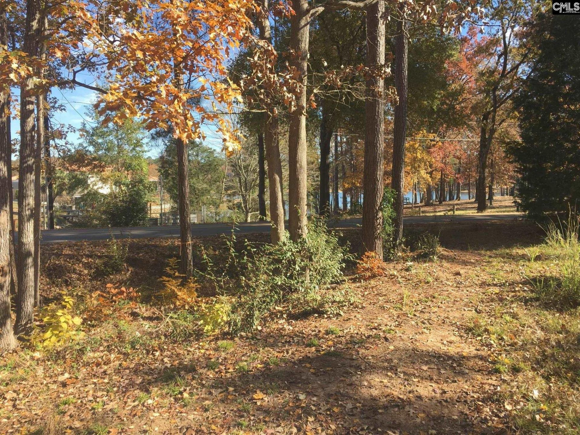 514 Shadowood Drive  Photo 7
