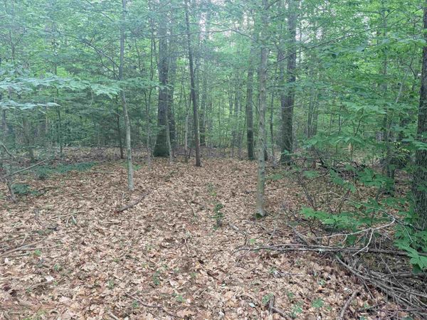 402 Baptist Hill Road, Canterbury, NH 03224