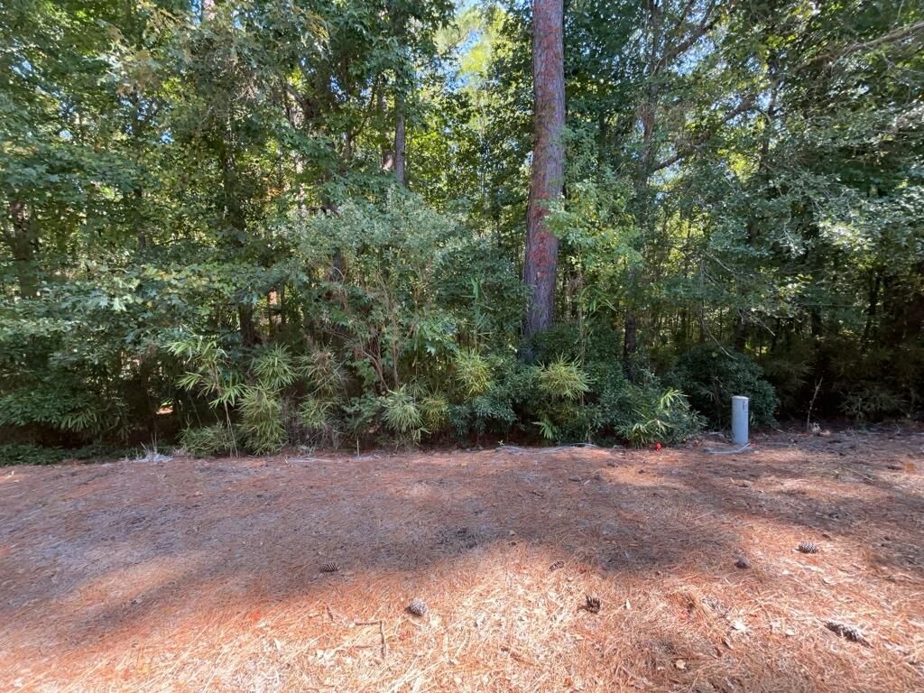 1544 Oxborough Circle Photo 44