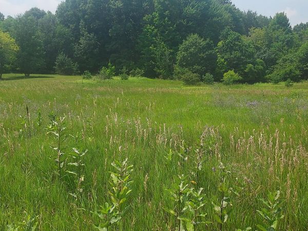 V/L Gravel Ridge Road, Coral, MI 49322