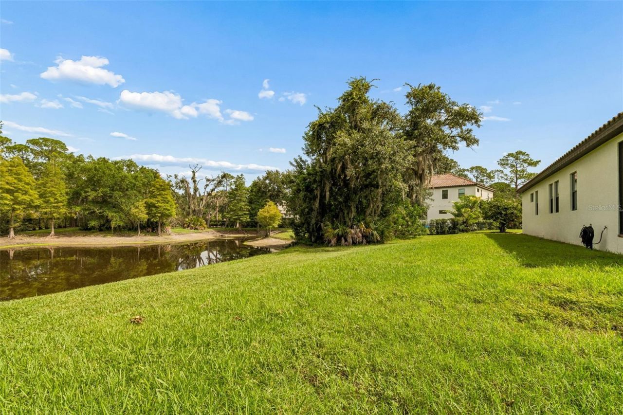 7872 Marsh Pointe Drive , Tampa, FL 33635 Photo