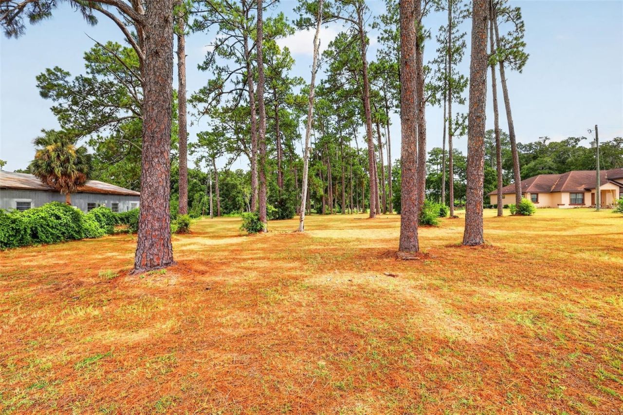 8650 SW 27th Avenue, Ocala, FL 34476 Photo