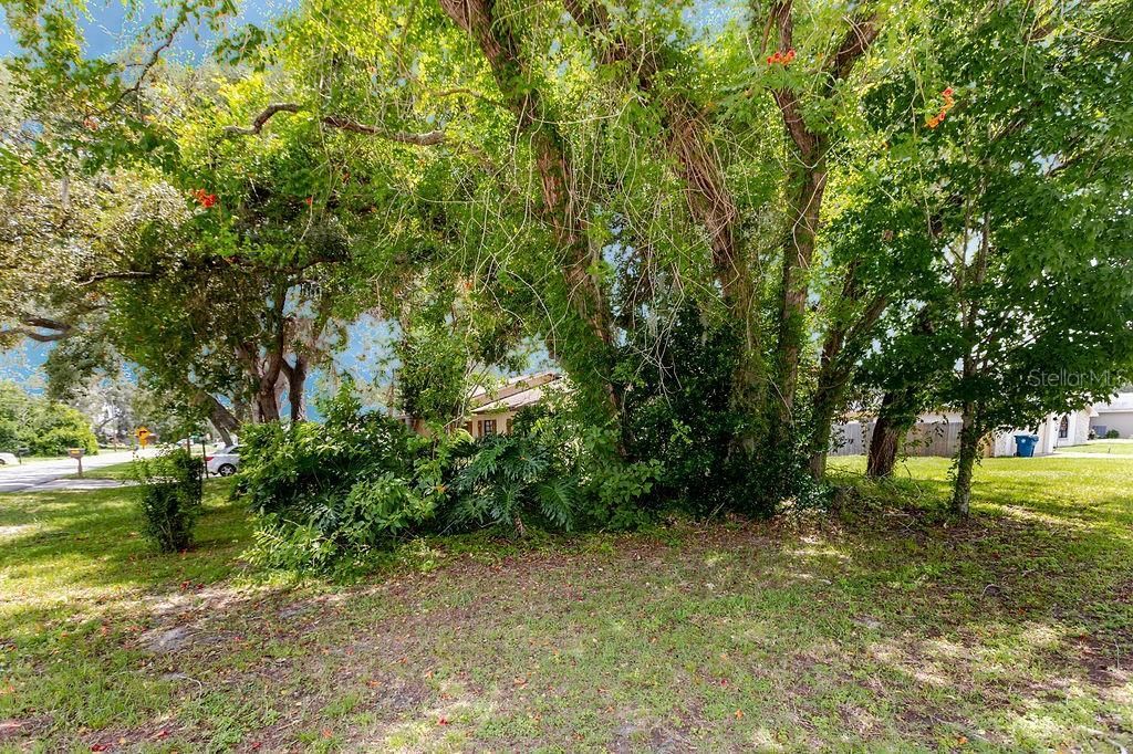 1042 Tryon Circle , Spring Hill, FL 34606 Photo