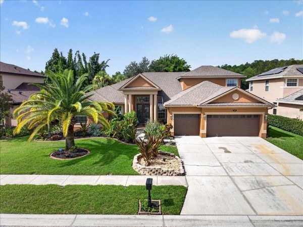16410 IVY LAKE DRIVE, ODESSA, FL 33556