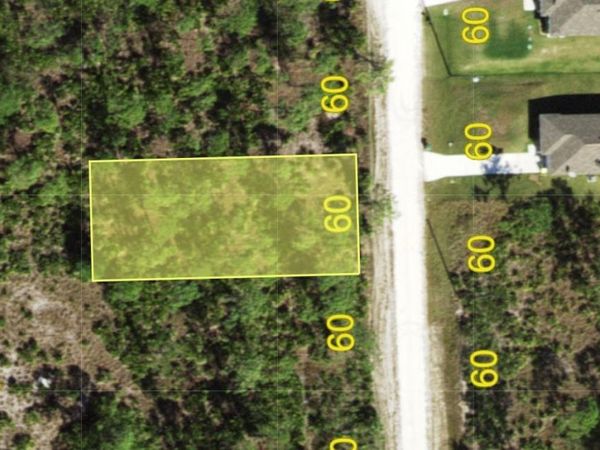 12291 HINDLE AVENUE , PUNTA GORDA, FL 33955