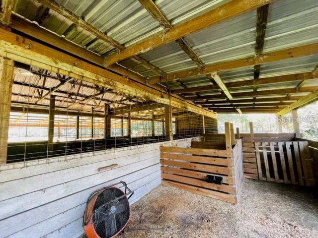 6810 Pearson Lane, Wesley Chapel, FL 33544 Photo