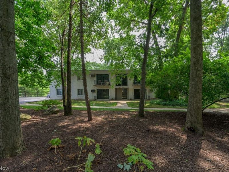 988 S Lincoln Street, Kent, OH 44240 Photo 2