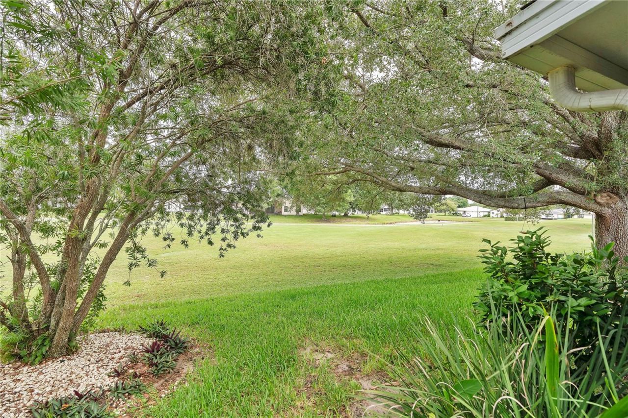 228 Grand Vista Trail, Leesburg, FL 34748 Photo