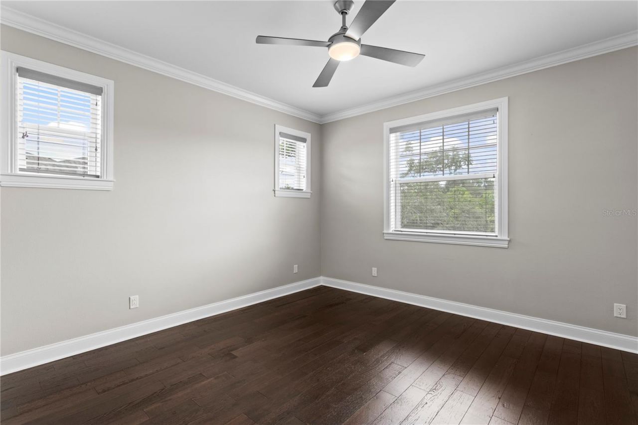 5016 W Evelyn Drive, Tampa, FL 33609 Photo