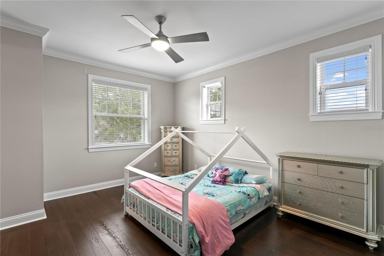 5016 W Evelyn Drive, Tampa, FL 33609 Photo
