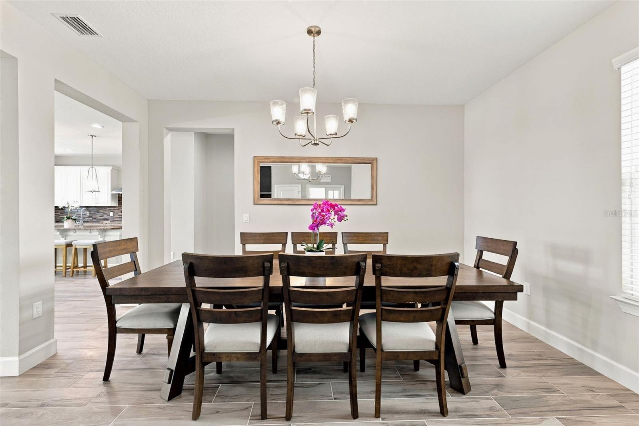 7697 Roma Dune Drive, Wesley Chapel, FL 33545 Photo