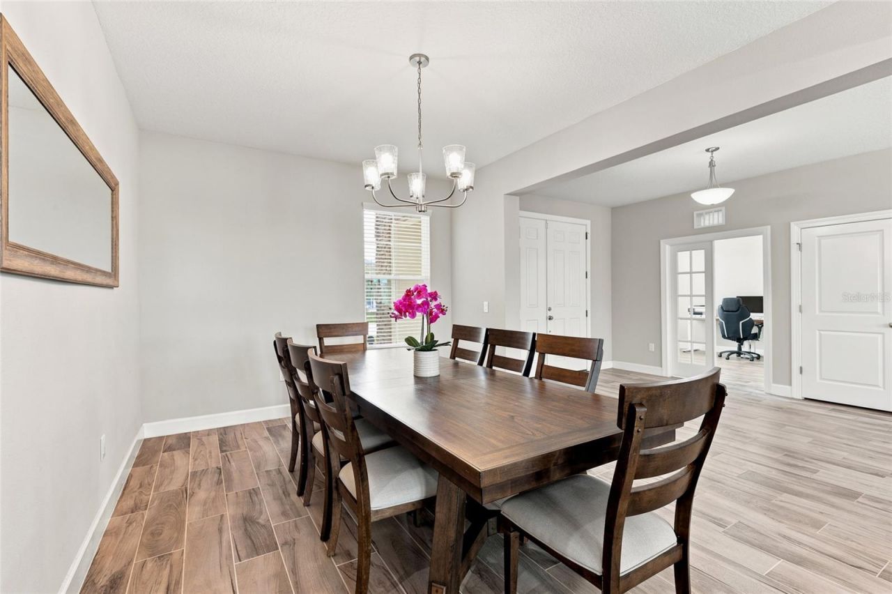 7697 Roma Dune Drive, Wesley Chapel, FL 33545 Photo