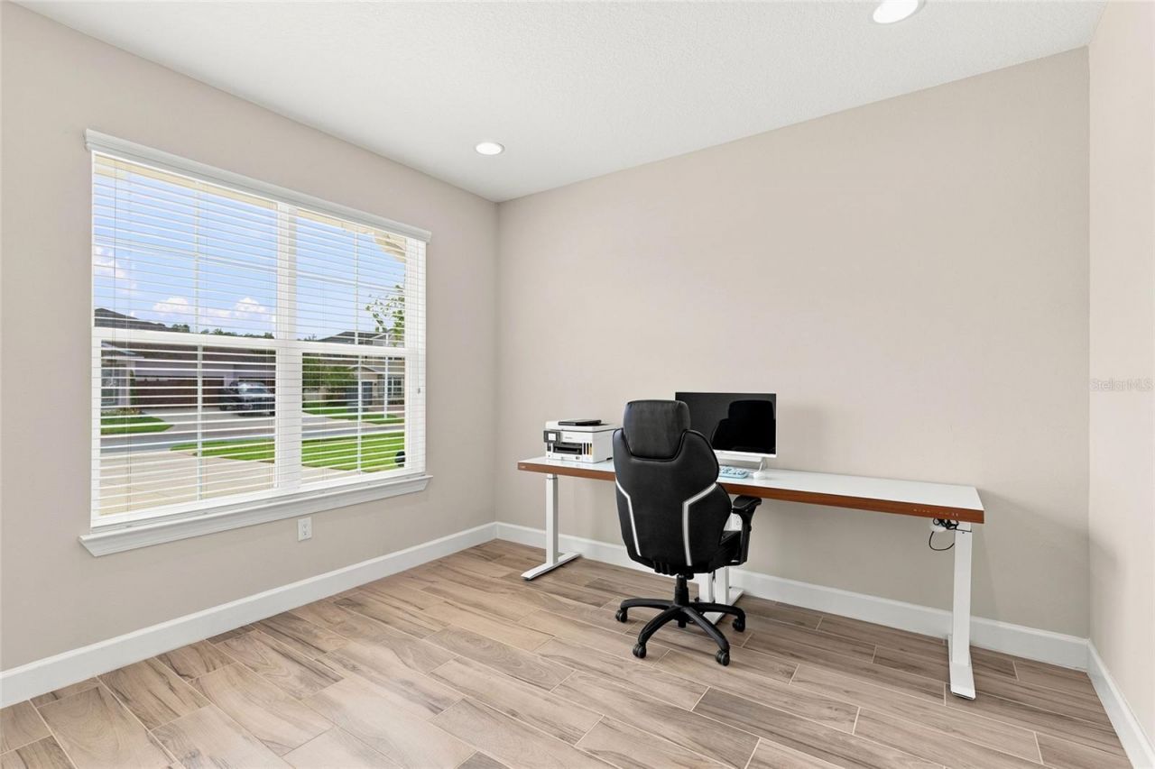 7697 Roma Dune Drive, Wesley Chapel, FL 33545 Photo